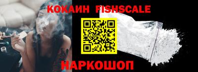 крисы Новодвинск