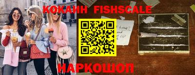 крисы Новодвинск