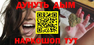 крисы Новодвинск