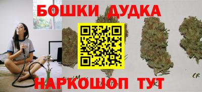 крисы Новодвинск