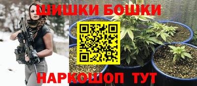крисы Новодвинск