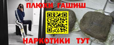 крисы Новодвинск